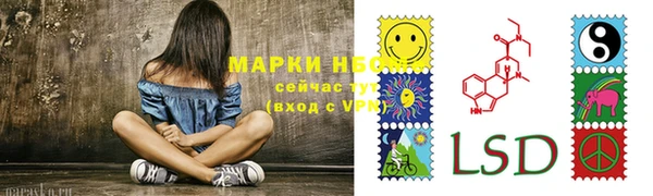 амф Зерноград