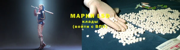 амф Зерноград