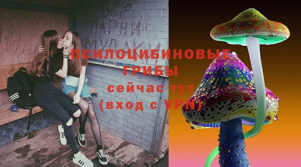 амф Зерноград