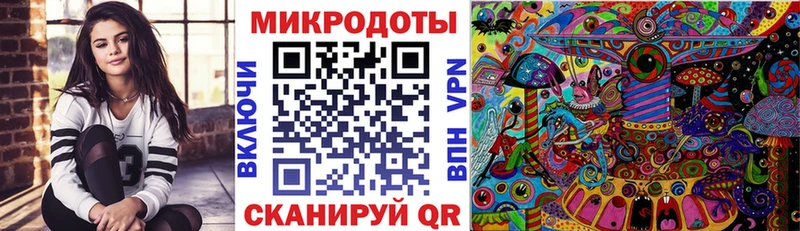 Купить закладки  Анива  Галлюциногенные грибы GOLDEN TEACHER 